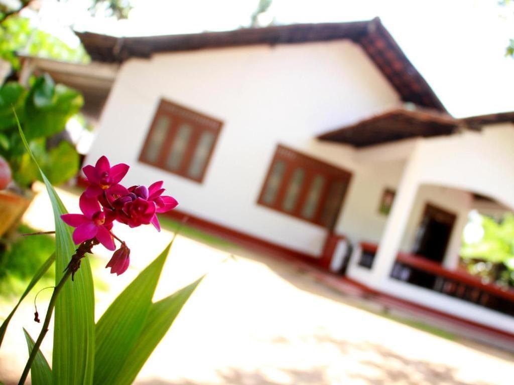 Celine'S Home Mirissa Bagian luar foto