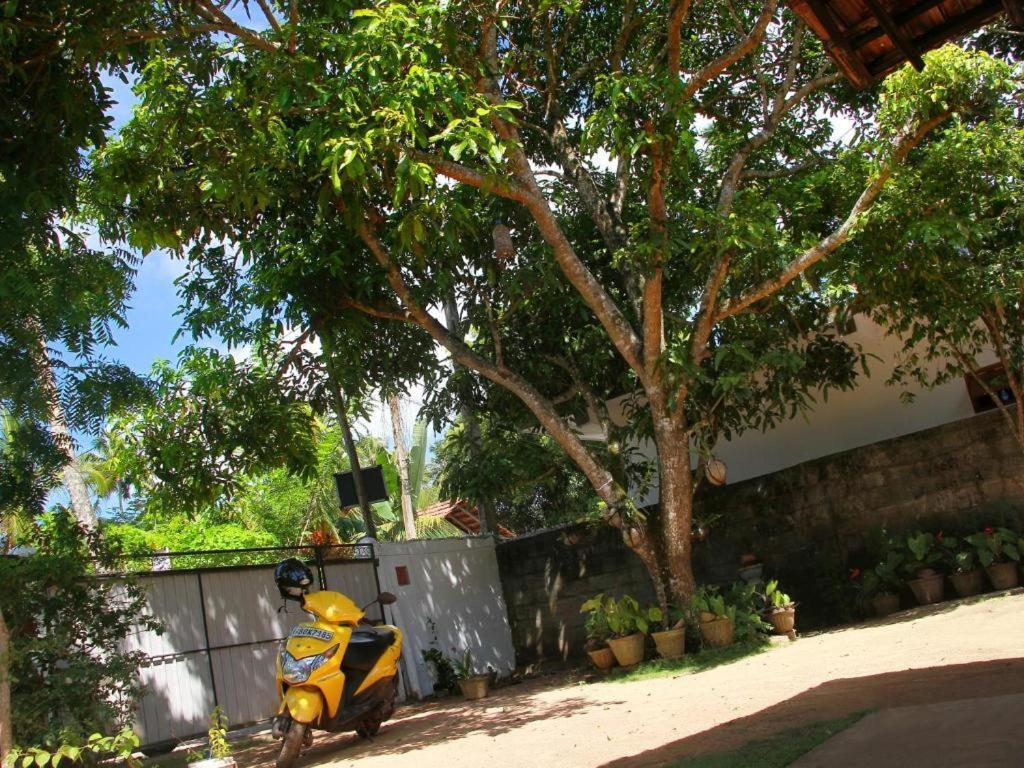 Celine'S Home Mirissa Bagian luar foto